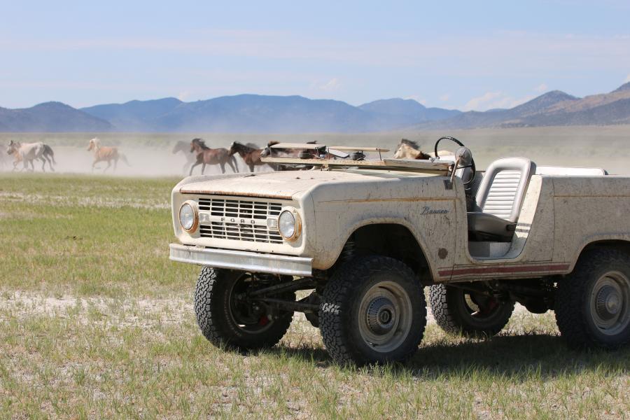  Ford Bronco Derelict Roadster by ICON 2018 года  (фото 23 из 29)